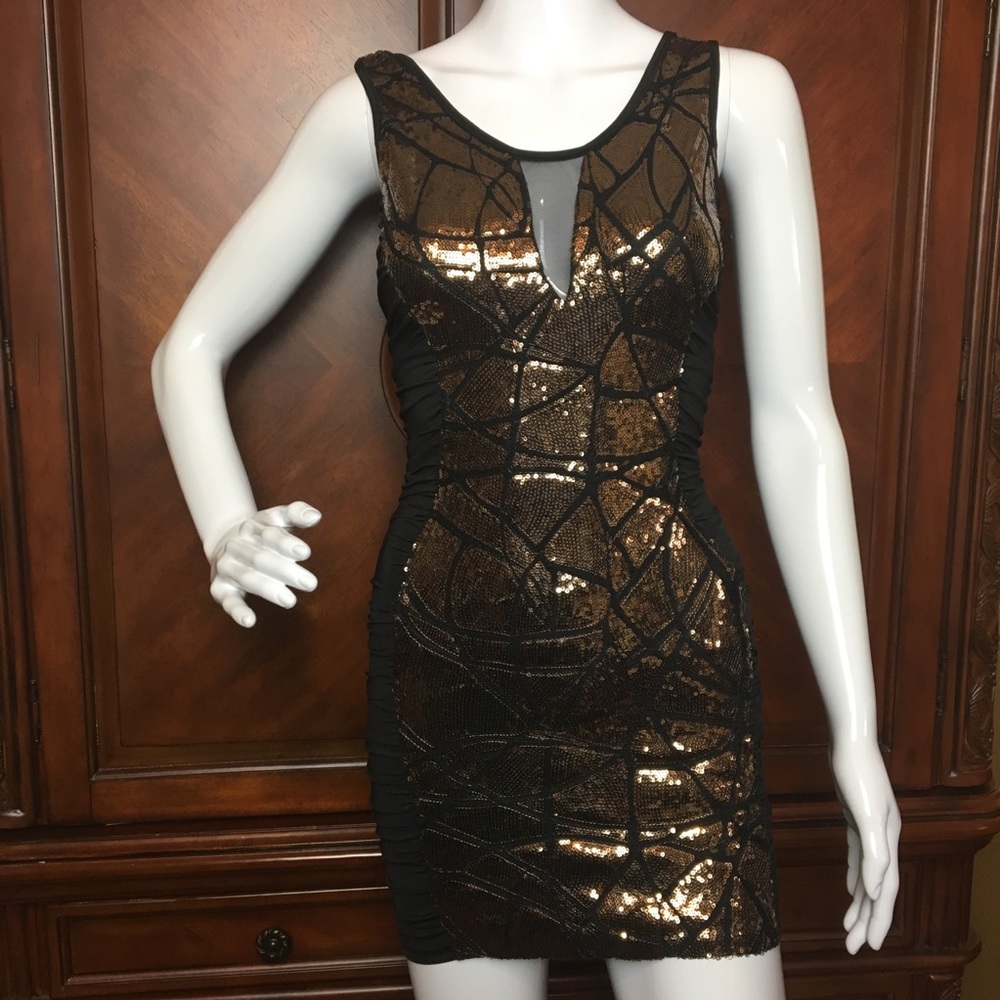 Metallic Bronze Sequins Fitted Dress